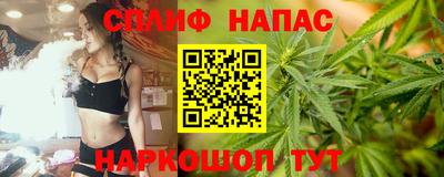 прущие грибы Чебаркуль