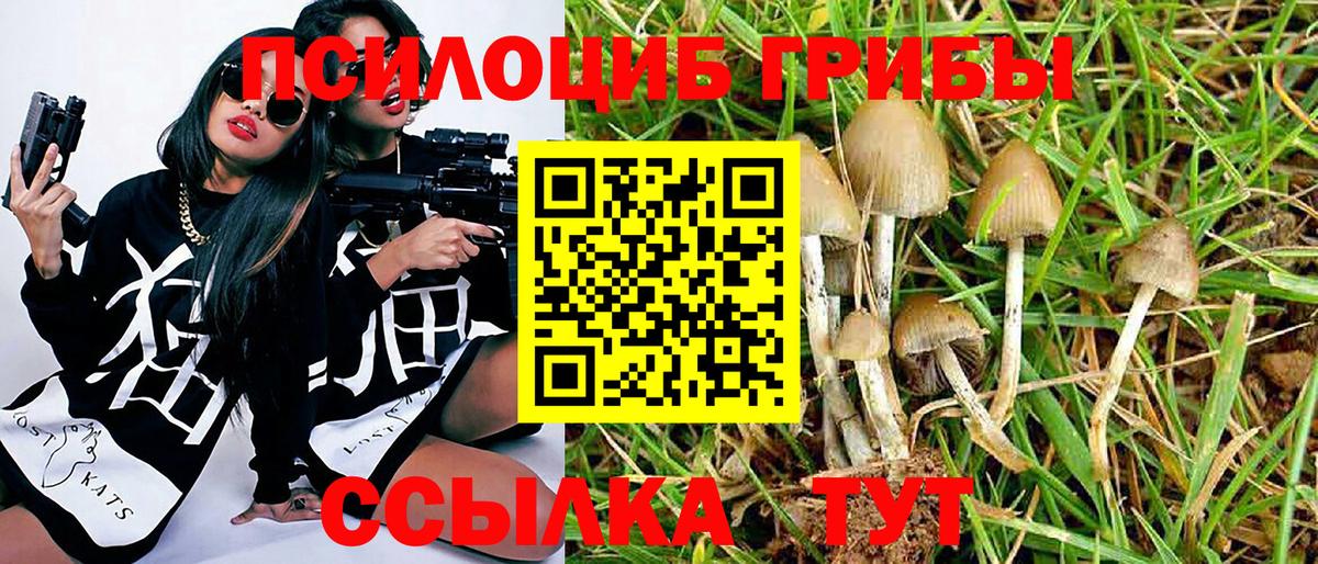 Волгодонск  Псилоцибиновые грибы Cubensis  Вход с VPN  Галлюциногенные грибы Cubensis 